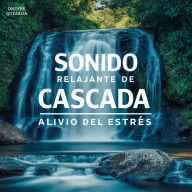 Sonido Relajante De Cascada Alivio Del Estrés