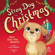 A Stray Dog for Christmas: How Suzy was Adopted