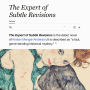 The Expert of Subtle Revisions: A Novel