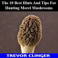 The 10 Best Hints And Tips For Hunting Morel Mushrooms