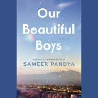 Our Beautiful Boys: A Novel