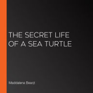 The Secret Life of a Sea Turtle
