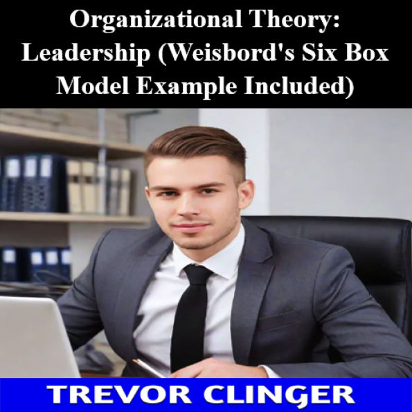 Organizational Theory: Leadership (Weisbord's Six Box Model Example Included)