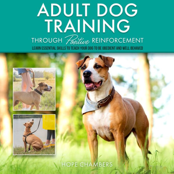 Adult Dog Training Through Positive Reinforcement:: Learn the Essential Skills Needed to Shape an Obedient and Well-Behaved Dog