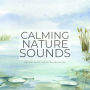 Calming Nature Sounds (Without Music) for Deep Sleep, Meditation, Relaxation: Gentle rain, warm springs, a songbird concert, chirping crickets, tropical storms
