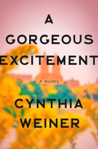 A Gorgeous Excitement: A Novel