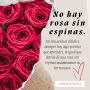 No hay rosa sin espinas: En situaciones difíciles siempre hay algo positivo que aprender, al igual que detrás de una rosa con espinas encontramos su hermosura.