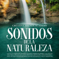 Sonidos de la naturaleza: calma tu cuerpo con tranquilizadores sonidos de bosque y la cascada zen para la relajación, sueño profundo, meditación, concentración y yoga. Alcanza niveles más profundos de conciencia y vive tu mejor vida