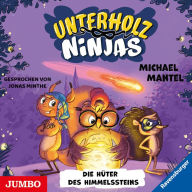 Unterholz-Ninjas. Die Hüter des Himmelssteins [2] (Abridged)