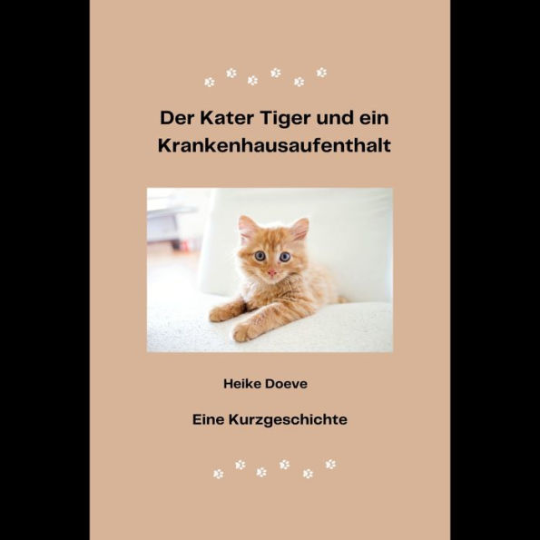 Der Kater Tiger und ein Krankenhausaufenthalt