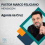 Agonia na Cruz