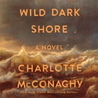 Wild Dark Shore: A Novel