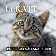 Katt: Populära sällskapsdjur