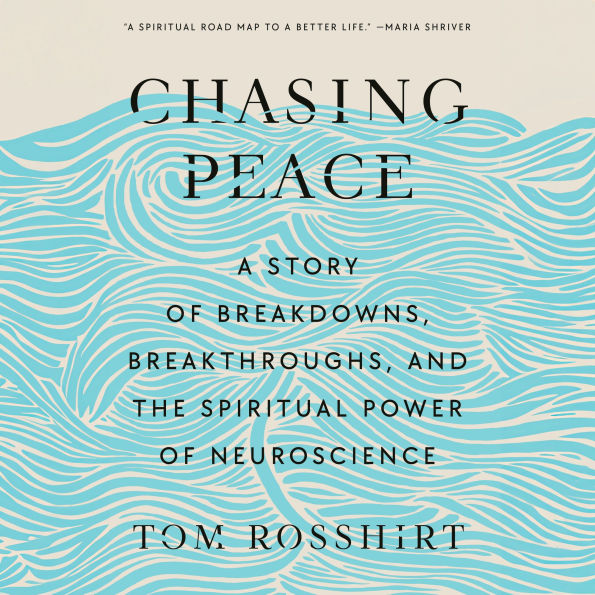 Chasing Peace: A Story of Breakdowns, Breakthroughs, and the Spiritual Power of Neuroscience