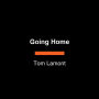 Going Home: A Novel of Boys, Mistakes, and Second Chances
