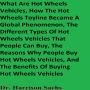 What Are Hot Wheels Vehicles, How The Hot Wheels Toyline Became A Global Phenomenon, The Different Types Of Hot Wheels Vehicles That People Can Buy, The Reasons Why People Buy Hot Wheels Vehicles, And The Benefits Of Buying Hot Wheels Vehicles