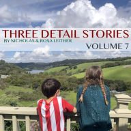 Three Detail Stories: Volume 7