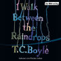 I walk between the Raindrops: Storys