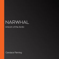 Narwhal: Unicorn of the Arctic