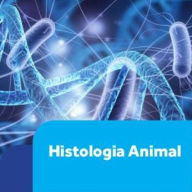 Histologia Animal