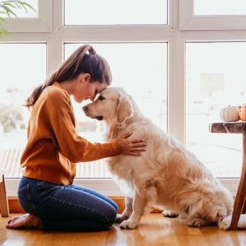 Cómo Cuidar a su Mascota