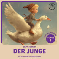 Der Junge (Nils Holgersson, Folge 1)