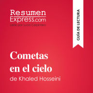 Cometas en el cielo de Khaled Hosseini (Guía de lectura): Resumen y análisis completo