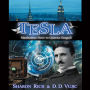 Tesla: Manhattan Dove to Queens Seagull