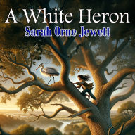 A White Heron