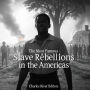 The Most Famous Slave Rebellions in the Americas: The History of Important Uprisings across the Western Hemisphere