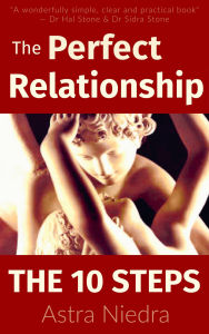 The Perfect Relationship: The 10 Steps to a Conscious, Evolving and Lasting Relationship
