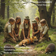 Girl Brownies, The - Ashdown Forest 1919: Book 4 of 6 - The Great Forest Rescue