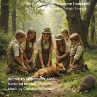 Girl Brownies, The - Ashdown Forest 1919: Book 4 of 6 - The Great Forest Rescue