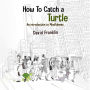 How to Catch a Turtle: An Introduction to Mindfulness