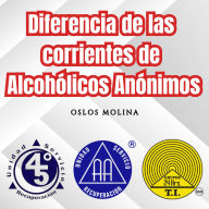 Diferencia de las corrientes de Alcohólicos Anónimos: Vivir Para Servir