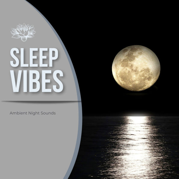 Sleep Vibes: Ambient Night Sounds
