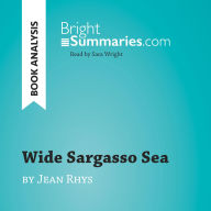 Wide Sargasso Sea by Jean Rhys (Book Analysis): Detailed Summary, Analysis and Reading Guide