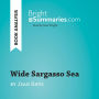 Wide Sargasso Sea by Jean Rhys (Book Analysis): Detailed Summary, Analysis and Reading Guide