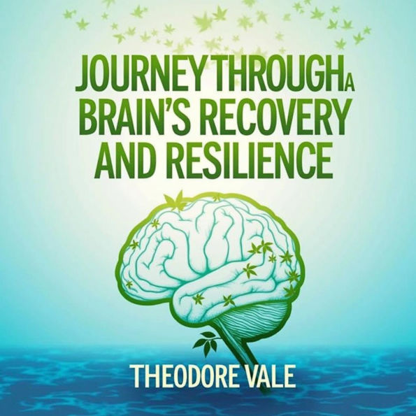 Journey Through a Brain's Recovery and Resilience: 