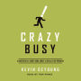 Crazy Busy: A (Mercifully) Short Book about a (Really) Big Problem (Abridged)