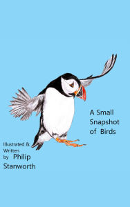 A Small Snapshot Of Birds