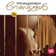 T V Kochubavayude Novellakal