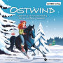 Ostwind. Geheimnis im Winterwald & Ferien auf dem Hausboot: Zwei Geschichten