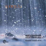 Meditationsövning - Regnets rytm