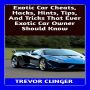 Exotic Car Cheats, Hacks, Hints, Tips, And Tricks That Ever Exotic Car Owner Should Know