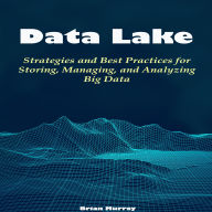 Data Lake: Strategies and Best Practices for Storing, Managing, and Analyzing Big Data