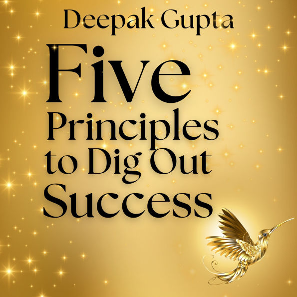 5 Principles To Dig Out Success: The Rules of Starting, Roller coaster, Visibility, Stickiness, & Interstices