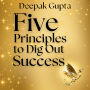 5 Principles To Dig Out Success: The Rules of Starting, Roller coaster, Visibility, Stickiness, & Interstices