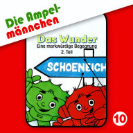 10: Das Wunder (Eine merkwürdige Begegnung, Teil 2) (Abridged)