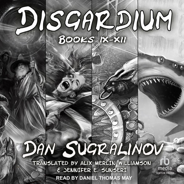 Disgardium Series Boxed Set: Books 9-12